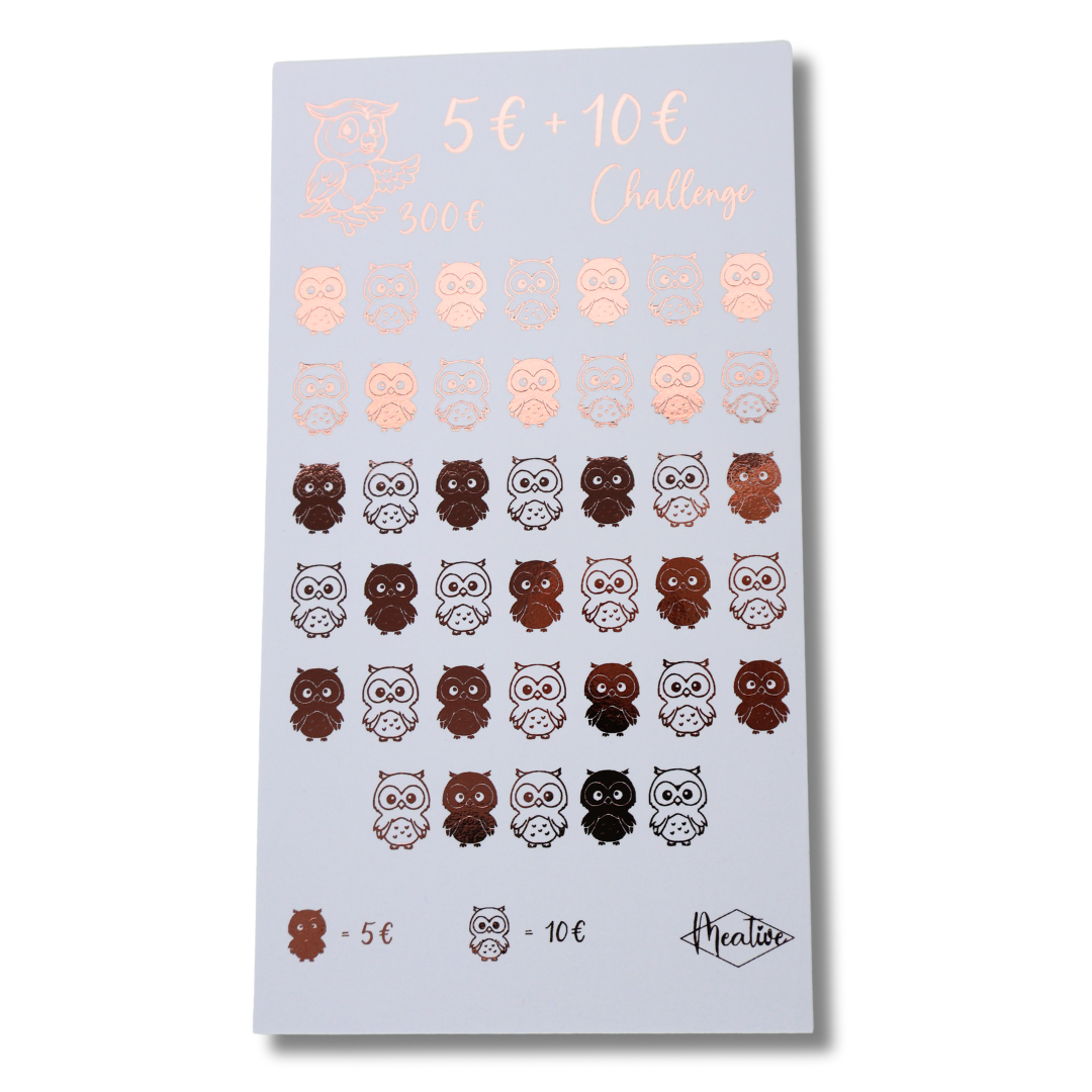 5€ + 10€ Sparchallenge Eule