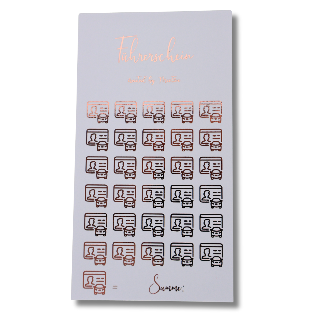 Führerschein Sparchallenge